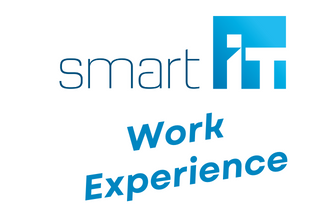 Work Experience (1)